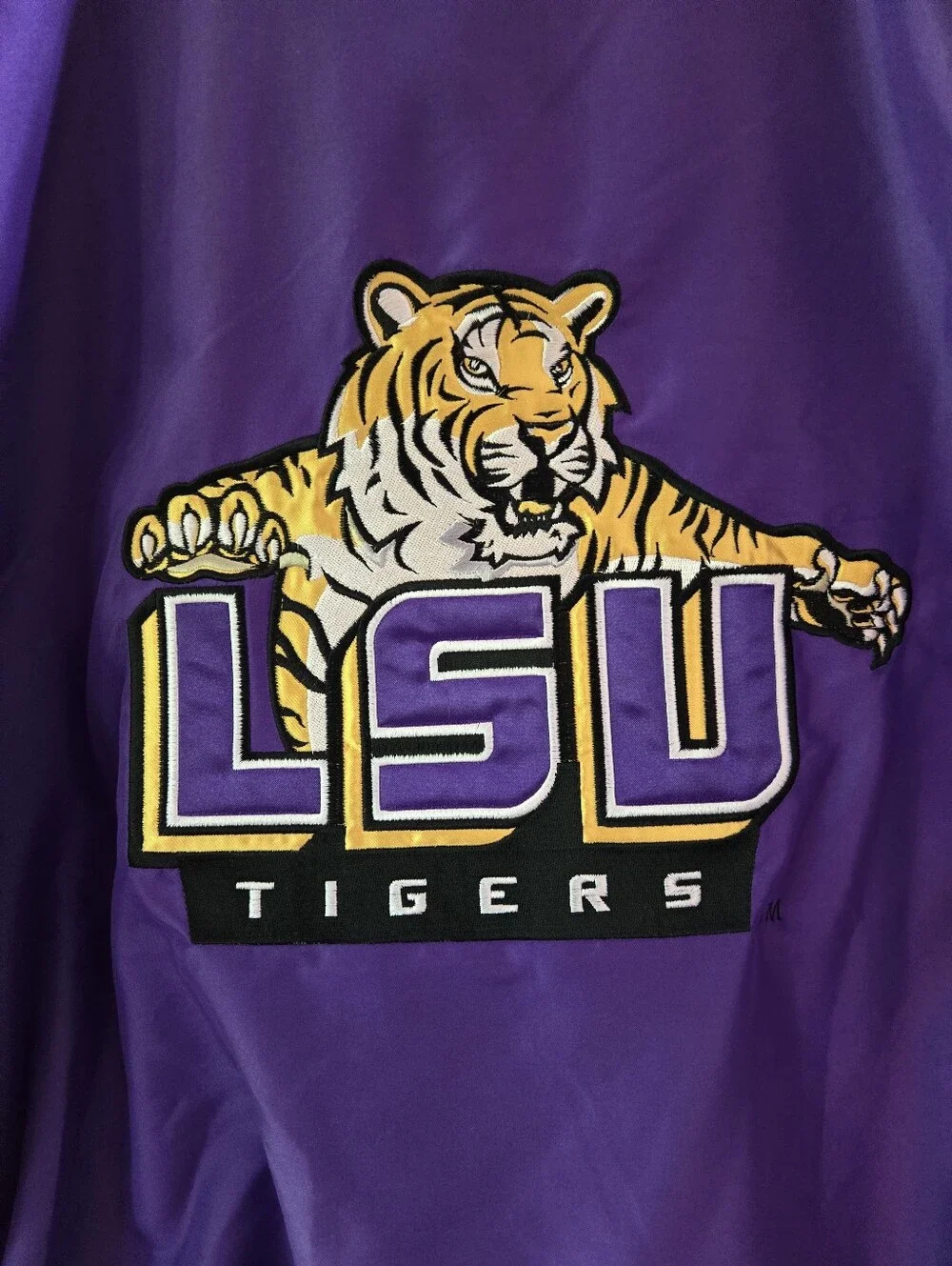 LSU 🐯🏈🏀⚾️⚽️ - Picture 5 of 9